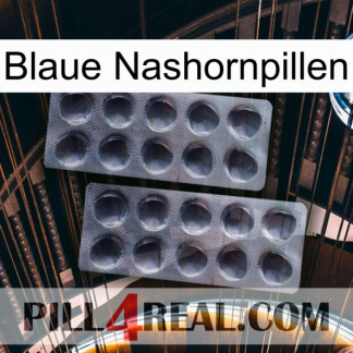 Blue Rhino Pills 31